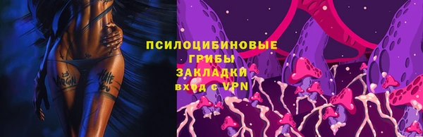 бошки Балахна