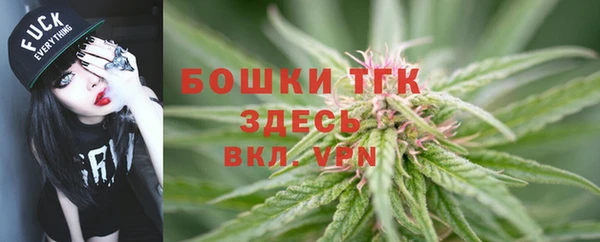 хмурый Балабаново
