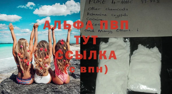 молекула духа Корсаков